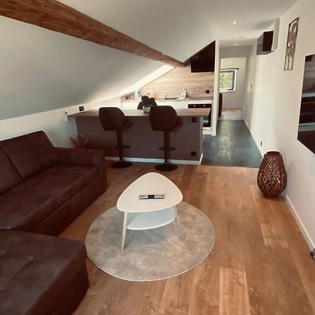 Scandinavian Appartement Saint-Avold Εξωτερικό φωτογραφία